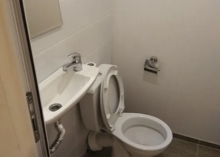 Ginger House 旅馆 *