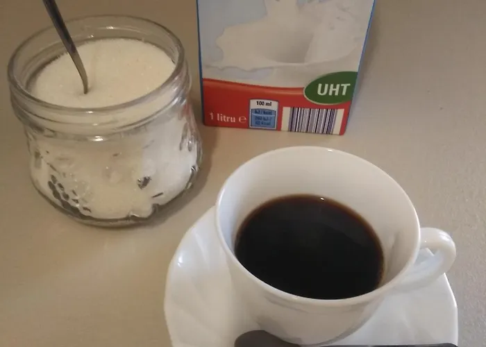 Ginger House 旅馆 *