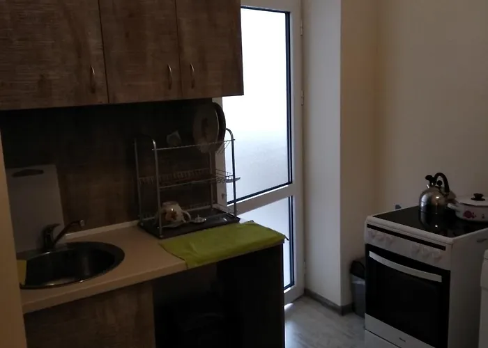 Ginger House * 普罗夫迪夫