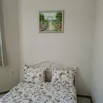 Ginger House
