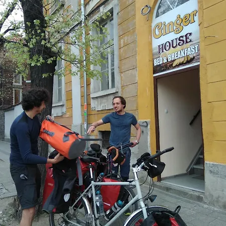 بيت شباب Ginger House بلوفديف