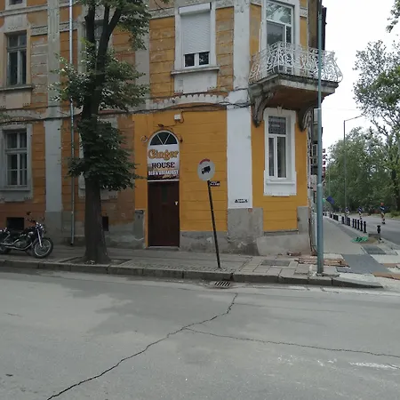 Hostel Ginger House *