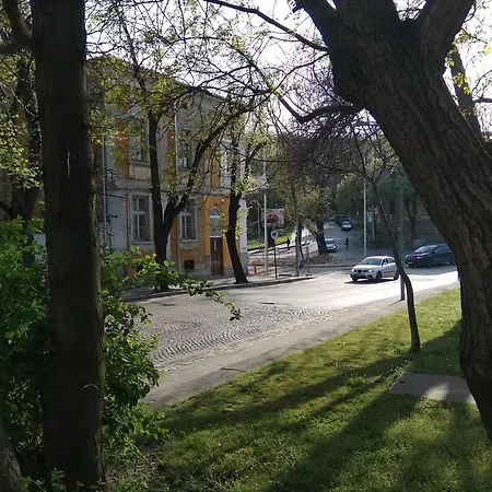 بيت شباب Ginger House