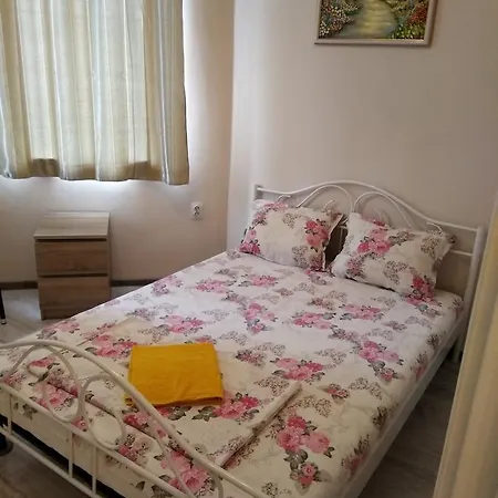 Ginger House بيت شباب